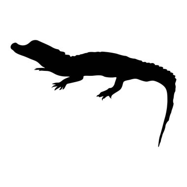 Cüce Timsah (Osteolaemus tetraspis) Siluet Vektörü Afrika Haritasında Bulundu