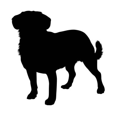 Entlebucher Dağı Köpek Silueti Avrupa Haritasında Bulundu