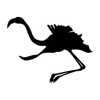 Flamingo (Phoenicopterus) Güney Amerika, Afrika, Avrupa ve Batı Asya haritasında bulunan siluet