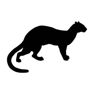 Fossa (Cryptoprocta ferox) Afrika haritasında bulunan siluet