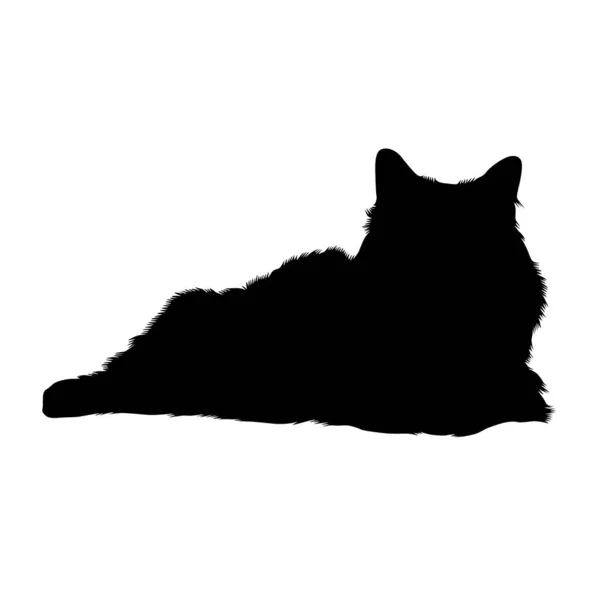 Bittery Cat Βιρμανίας Cat Silhouette Μιανμάρ Βιρμανία — Διανυσματικό Αρχείο