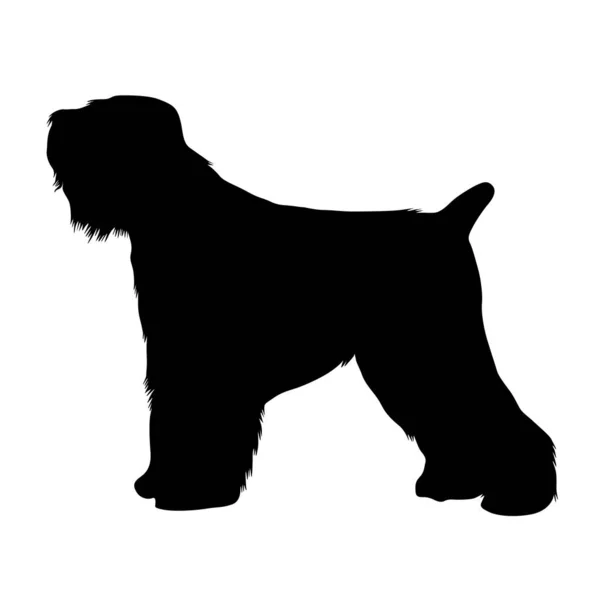 Russischer Terrier Hund Silhouette Russland — Stockvektor