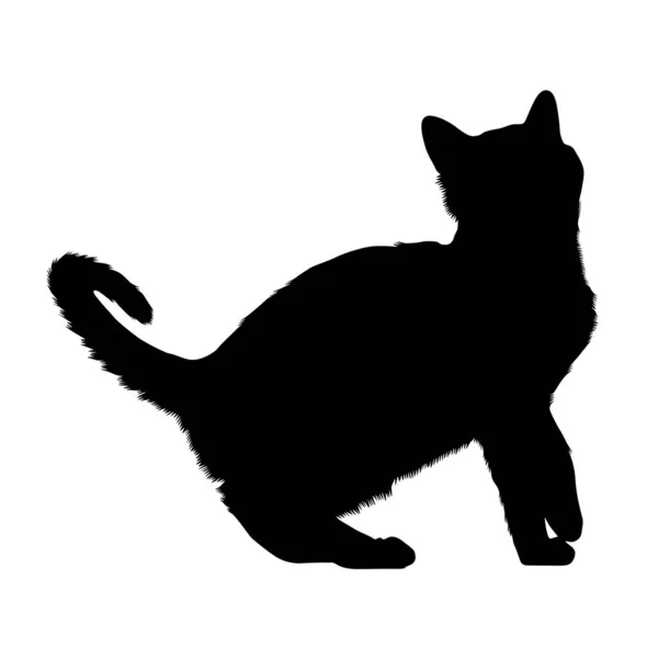 Bombay Cat Silhouette Nordamerika — Stockvektor