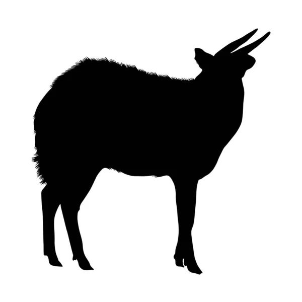 Bongo Tragelaphus Eurycerus Silhouette Africa — 图库矢量图片