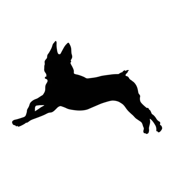 Saut Boston Terrier Chien Silhouette Amérique Nord — Image vectorielle