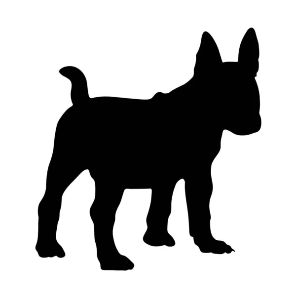 Icône Silhouette Bull Terrier Sur Fond Blanc — Image vectorielle