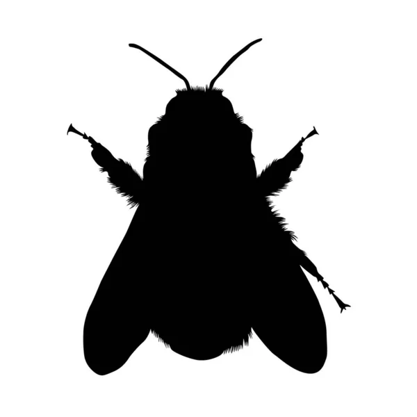 Egyszerű Bumble Bee Silhouette Elszigetelt Fehér — Stock Vector