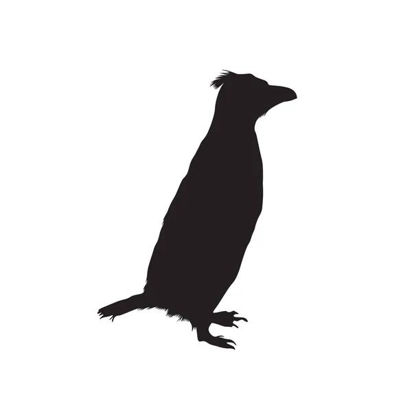 Pingwin Czubaty Eudyptes Robustus Wektor Sylwetki Znaleziony Antarktydzie — Wektor stockowy