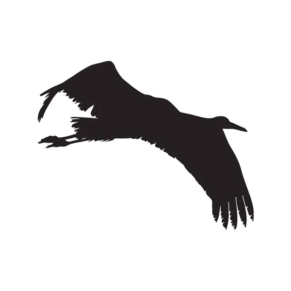 Crane Bird Gruidae Silhouette Vector Encontrado América Sul —  Vetores de Stock