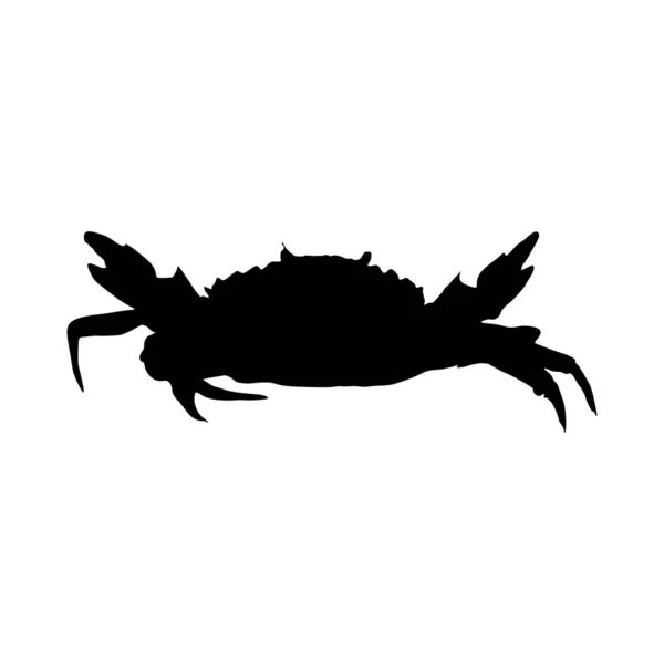 Krab Brachyura Silhouet Vector Gevonden Wateren Wereldwijd — Stockvector