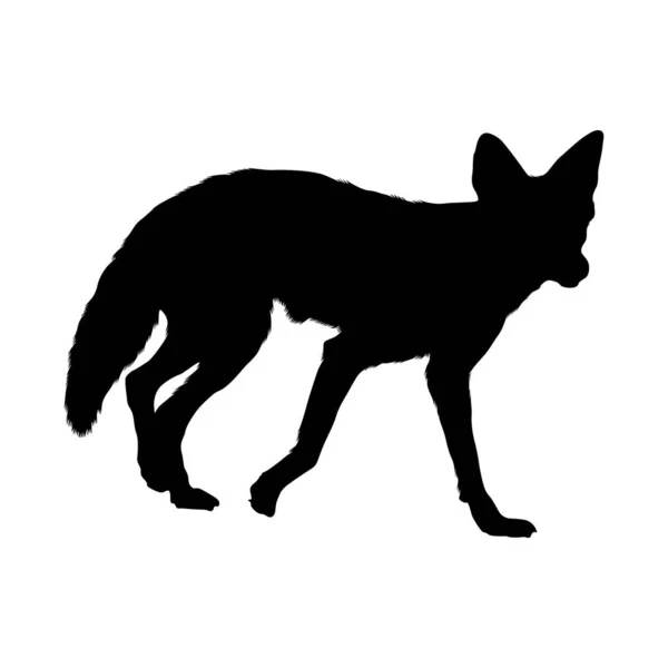 Coyote Canis Latrans Silhouette Vector Trovato Nella Mappa Del Nord — Vettoriale Stock