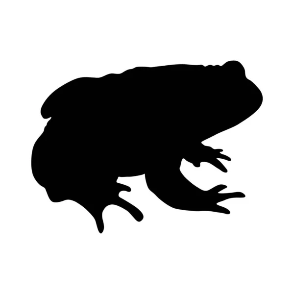 Κοινή Toad Bufo Bufo Silhouette Vector Βρέθηκε Στο Χάρτη Της — Διανυσματικό Αρχείο