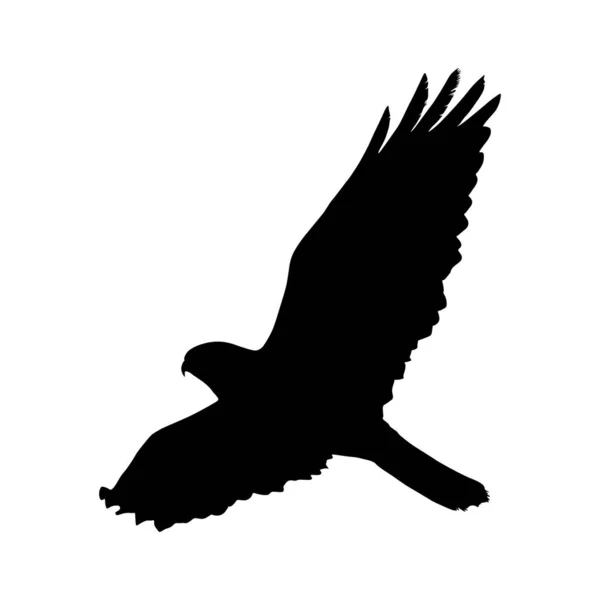 Силуэт Flying Common Buzzard Buzzard Европе России Азии Северной Африке — стоковый вектор
