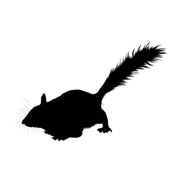 Chipmunk Tamias Striatus Silhouette Vector Trovato Nella Mappa Del Nord — Vettoriale Stock