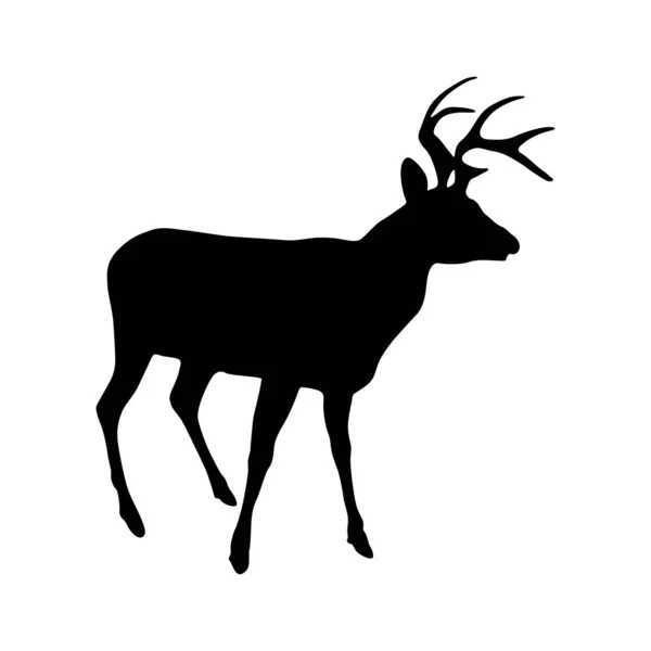Deer Odocoileus Virgiana 在欧洲 亚洲和北美发现的轮廓矢量 — 图库矢量图片