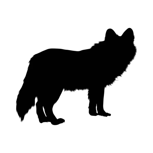 Dhole Dog Cuon Alpinus Силуетний Вектор Знайдений Мапі Азії — стоковий вектор