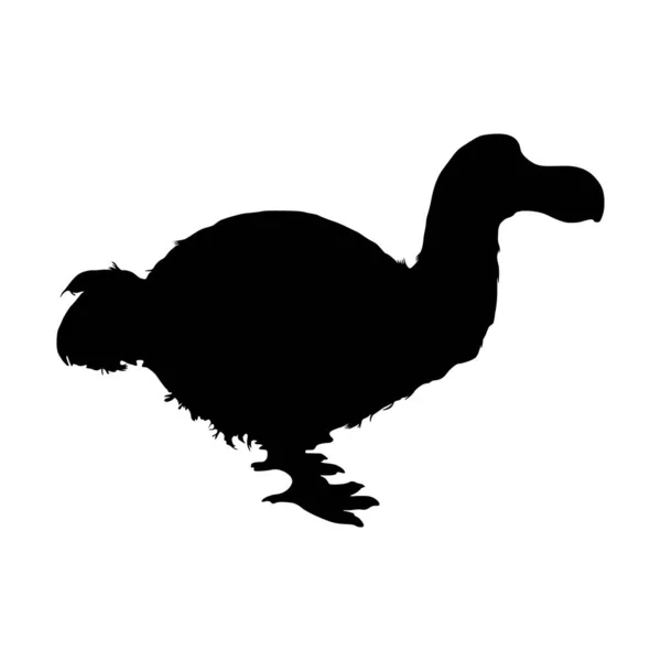 Dodo Bird Raphus Cucullatus Silhouette Vectorielle Trouvée Dans Océan Indien — Image vectorielle