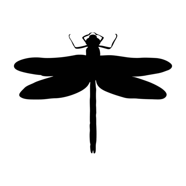 Szitakötő Anisoptera Sziluettvektor Található Térkép Világ Minden Tájáról — Stock Vector