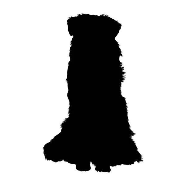 English Shepherd Silhouette Found Map North America — стоковый вектор