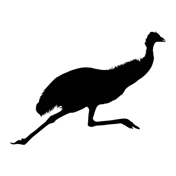 Silhouette Animal Emu Dromaius Novaehollandiae Trouvée Sur Carte Océanie — Image vectorielle