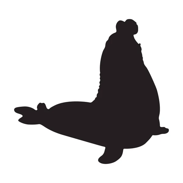 Vecteur Silhouette Phoque Éléphant Mirounga Trouvé Dans Les Eaux Norvégiennes — Image vectorielle
