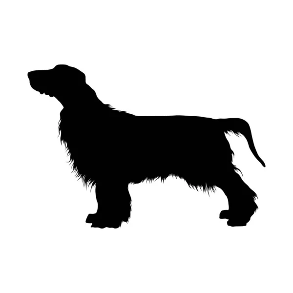 Silhouette Chien Champ Spaniel Trouvée Sur Carte Europe — Image vectorielle