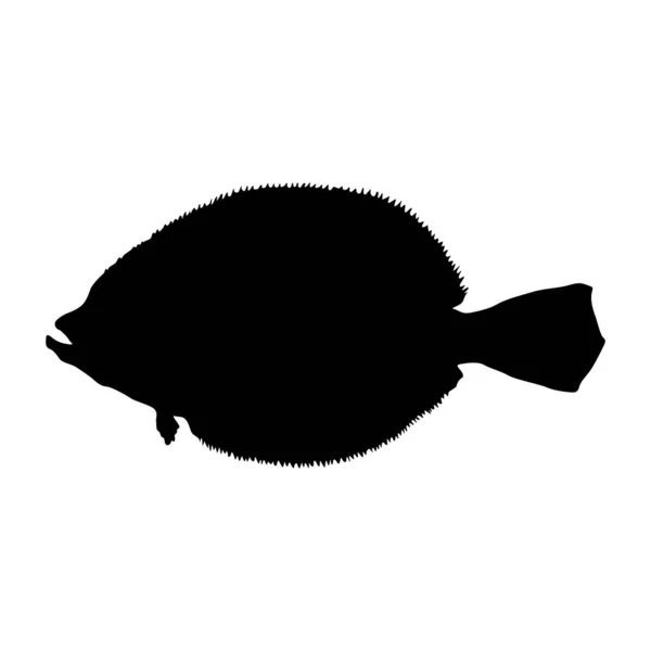 Silueta Flounder Fish Paralichthys Encontrada Mapa Los Océanos Atlántico Pacífico — Vector de stock