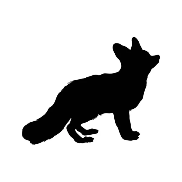 Fennec Fox Vulpes Zerda Silhouette Trovato Nella Mappa Dell Africa — Vettoriale Stock