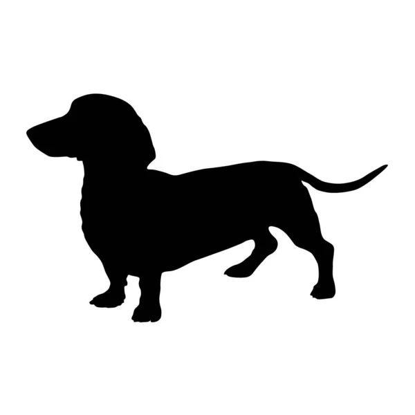 Dachshund Dog Silhouette Vector Found Map Europe Stock Vector