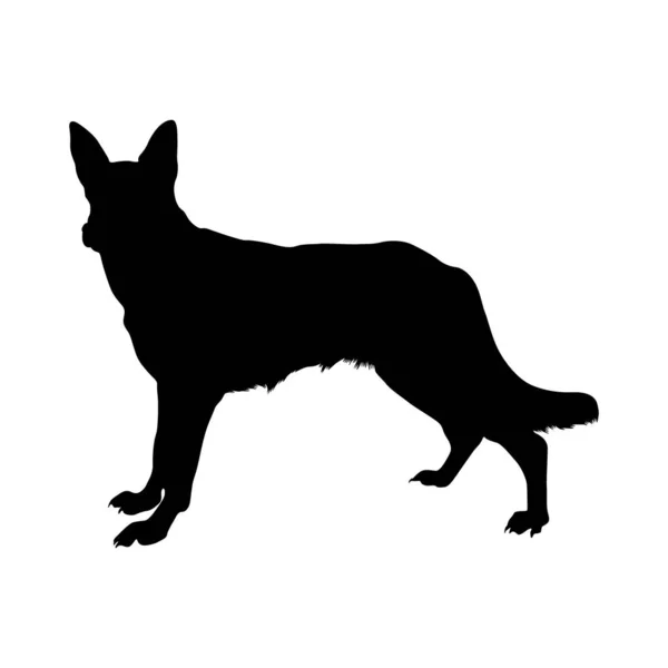 German Shepherd Dog Silhouette Found Map Europe — Stock Vector