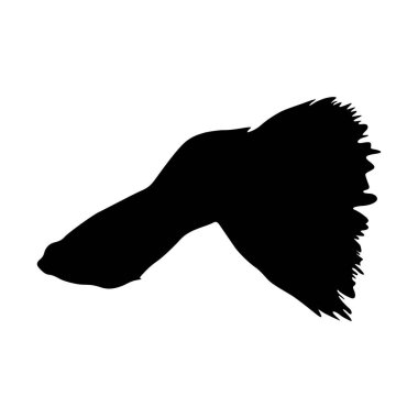 Guppy Fish (Poecilia Reticulata), Güney Amerika Haritasında Bulunan Denizaltı Görünümü Silueti