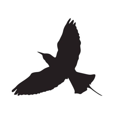 Afrika, Asya ve Orta Doğu haritasında Yeşil Arı Yiyen (Merops Orientalis) Silueti bulundu