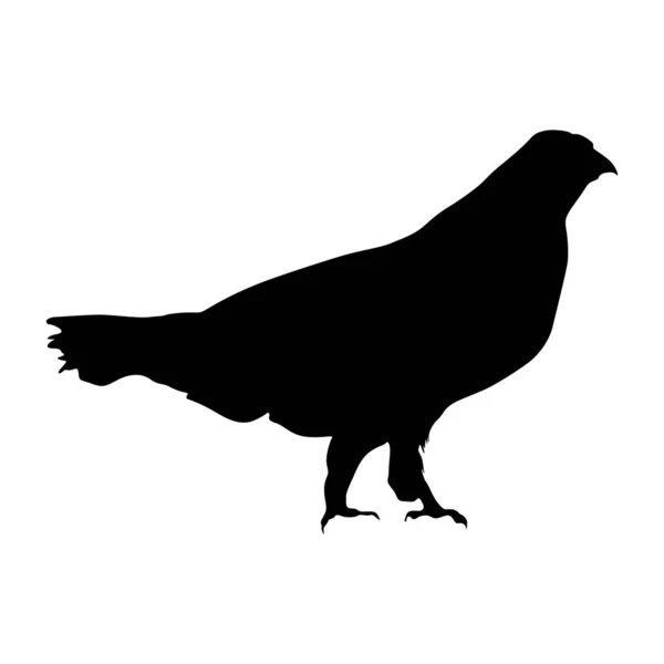 Moorhuhn Tetraoninae Steht Auf Einer Silhouette Die Einer Europakarte Gefunden — Stockvektor