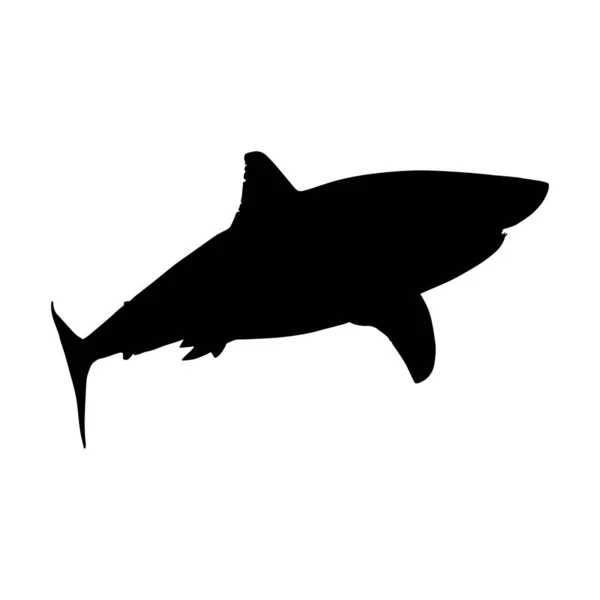 Nagy Fehér Cápa Carcharodon Carcharias Sziluett Található Térkép Dél Afrika — Stock Vector