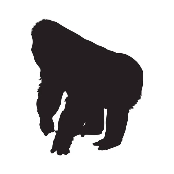 Standing Gorilla Side View Troglodytes Gorilla Silhouette Der Karte Von — Stockvektor