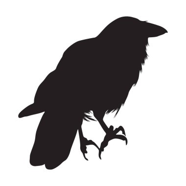 Hawaii 'de bulunan Hawaii Kargası Görünümlü Siluet