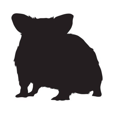 Ayakta Duran Hamster (Mezocricetus Auratus) Bir Ön Görünüm, Siluet, Dünyanın her yerinde Haritada Bulundu