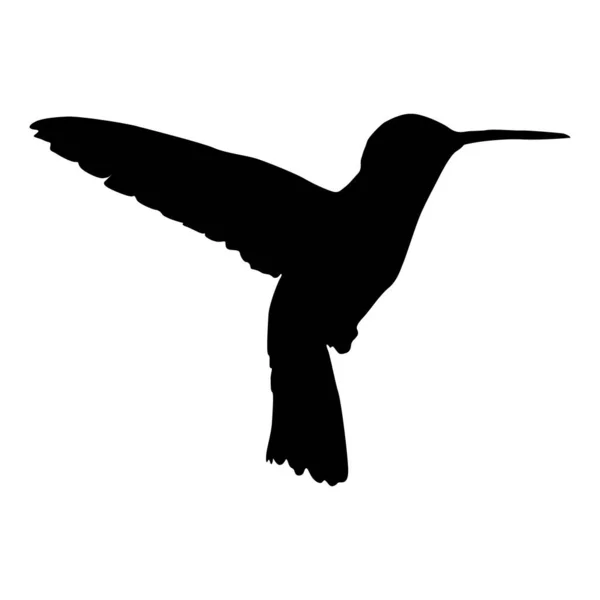 Flying Hummingbird Trochilidae Een Zijaanzicht Silhouet Gevonden Kaart Van Het — Stockvector