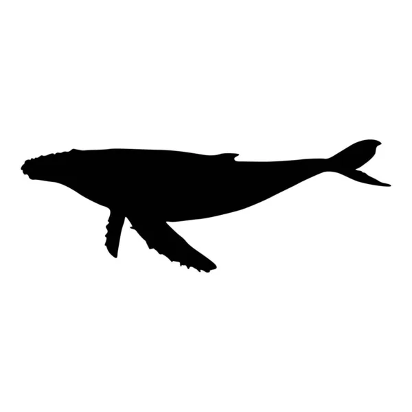 游泳座头鲸 Megaptera Novaeangliae 在世界海洋中发现的侧视图轮廓 用于基本印刷书籍 动物书籍和动物内容的好方法 — 图库矢量图片