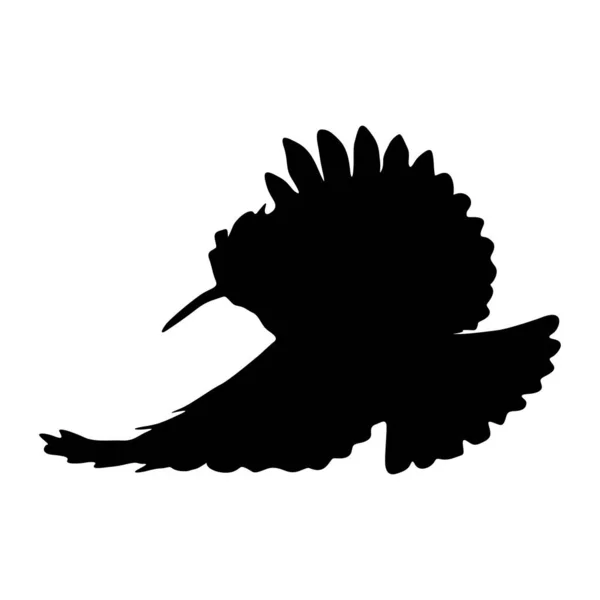 Flying Hoopoe Bird Upupa Een Zijaanzicht Silhouet Gevonden Kaart Van — Stockvector