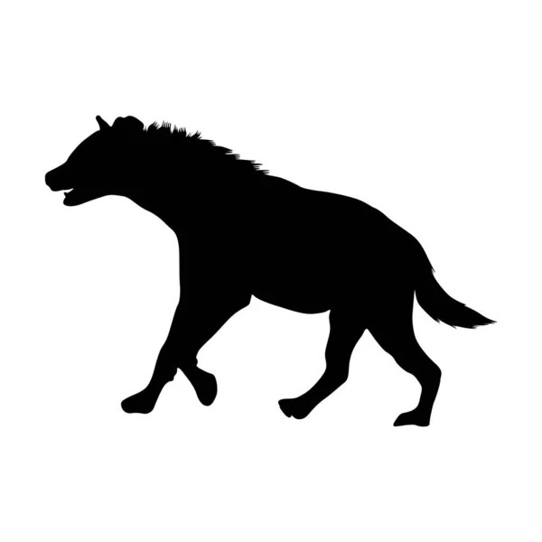 Staande Hyena Silhouet Crocuta Crocuta Een Zijaanzicht Silhouet Gevonden Kaart — Stockvector