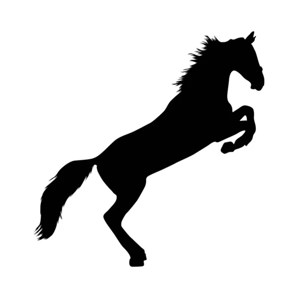 Ayakta Duran Equus Caballus Tüm Dünya Bulunan Yan Görünüm Siluetinde — Stok Vektör