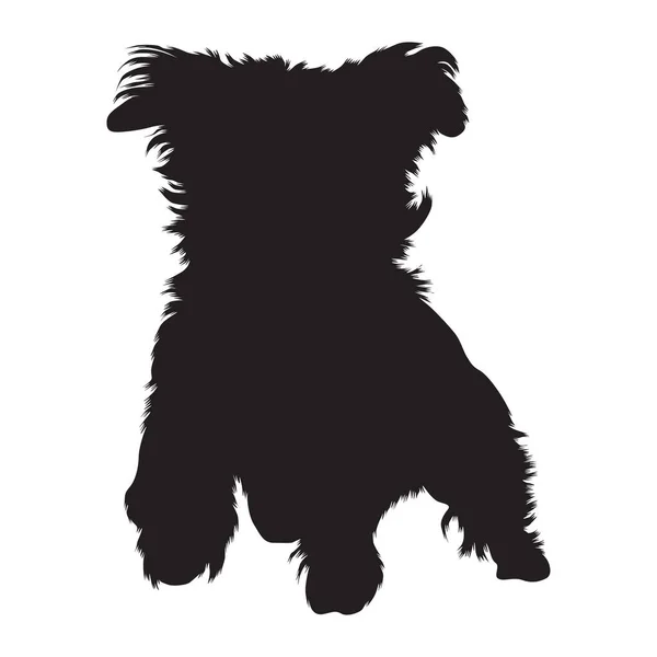 Havanese Dog Jumping Front View Silhouette Encontrado Mapa Europa — Vetor de Stock