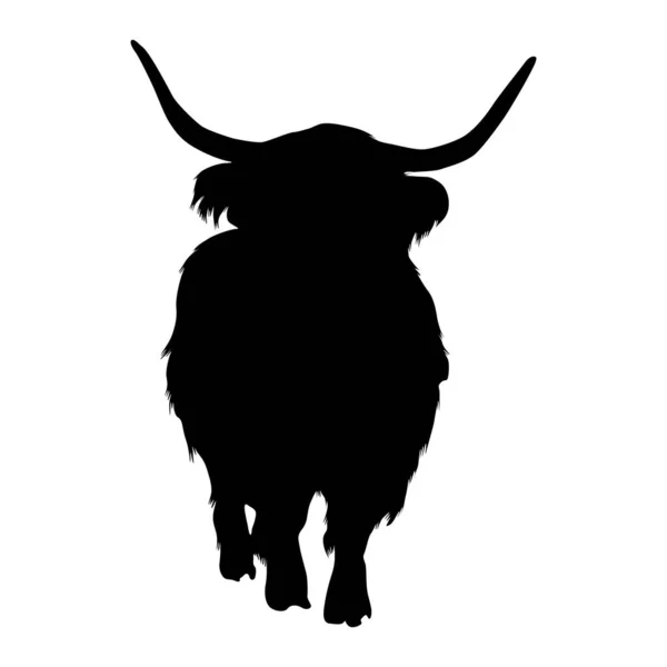 Standing Highland Cattle Front View Silhouette Found Scottish Highlands — Stock Vector