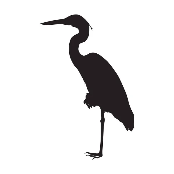 Oiseau Héron Debout Sur Une Silhouette Vue Latérale Trouvée Dans — Image vectorielle