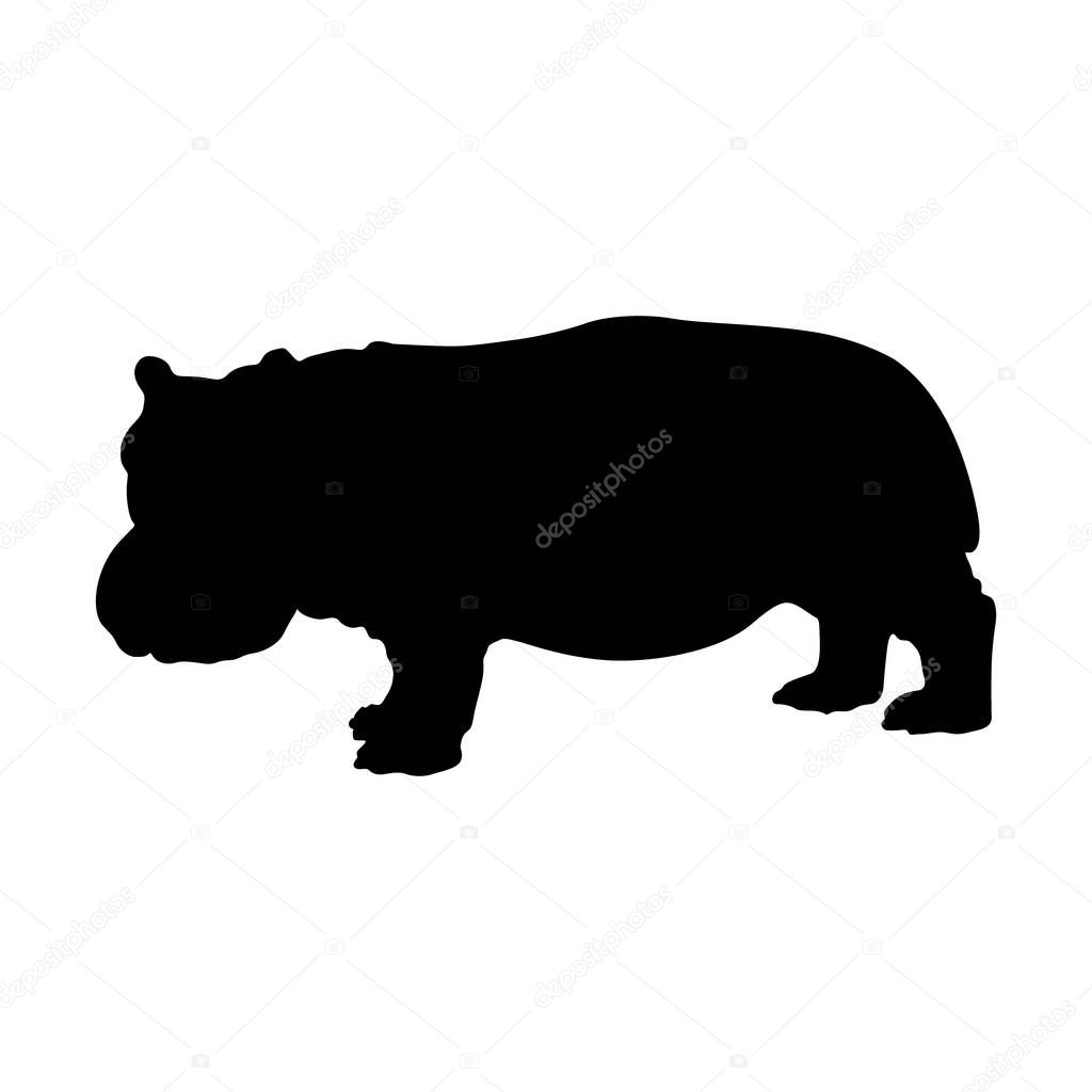 Standing Hippopotamus On a Side View Silhouette Found In Map Of Africa