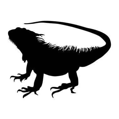 Ayakta Duran İguana (Iguana Iguana) Bir Yan Görünüm Siluetinde Entral ve Güney Amerika haritasında ve Karayipler 'de bulundu. Element Yazdırma Defteri, Hayvan Kitabı ve Hayvan İçeriği İçin Kullanılabilir