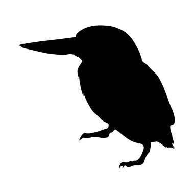 Durmakta olan Kingfisher Kuşu (Coraciiformes) Bataklıklarda ve ormanlık alanlarda bulunan bir yan görüş siluetinde. Element Yazdırma Defteri, Hayvan Kitabı ve Hayvan İçeriği İçin Kullanılabilir