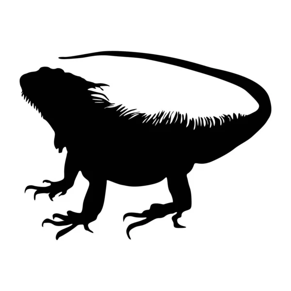 Standing Iguana Iguana Iguana Side View Silhouette Found Map Entral — стоковый вектор