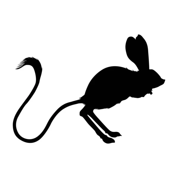 Jumping Jerboa Side View Silhouette Found Map Northern Africa Asia — Stock Vector